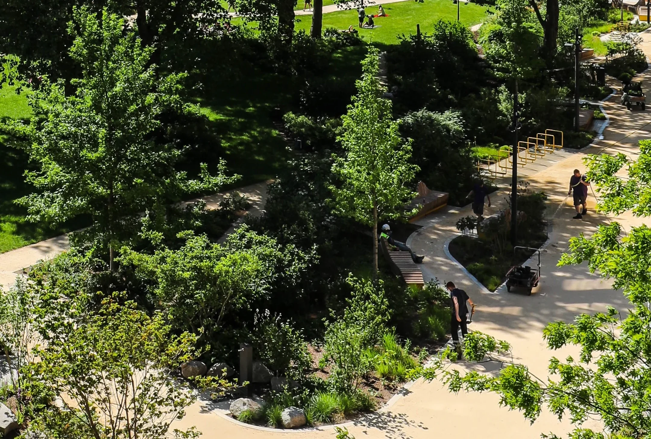 Image of landscaped area